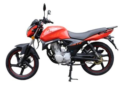 O odômetro de Digitas da roda de Street Motorcycle Alloy do pastor 150CC conduziu o farol
