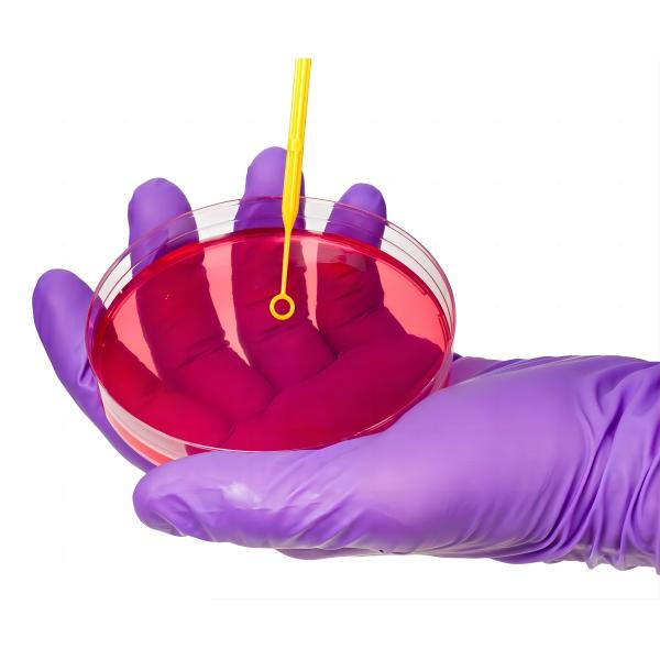 Petri Dish Medical Laboratory stérile extérieur lisse