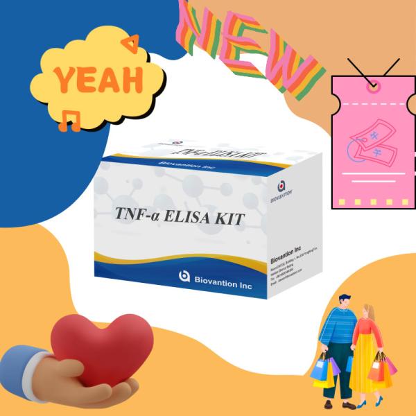 TNF-α RUO Elisa Test For Serum Plasma Accurate and convenient diagnostic solution for research