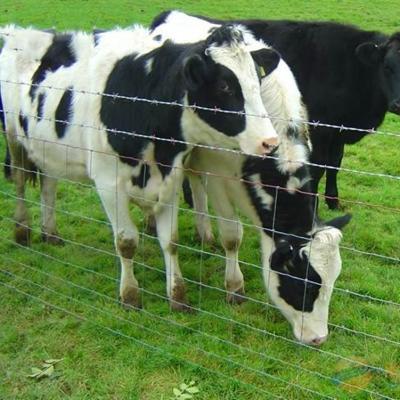 2.6m Height Rot Proof Hinge Joint Fence Barbered Wire Durable Best Field Fence For Cattle