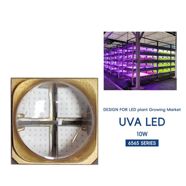 New UV LED Lamp Bead UVA SMD6868 LED Chip R5.0MM 365nm 385nm 395nm 10W Factory Direct for 3D Printer Plant Growing  Disinfection