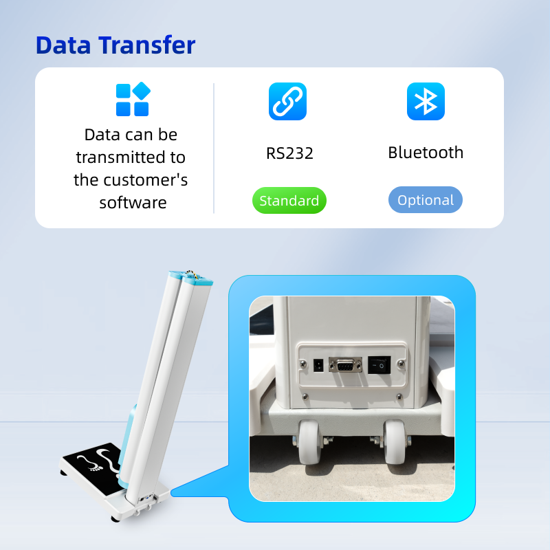 Health Height Weight Measurement BMI Electronic Weighing Scale with Printer