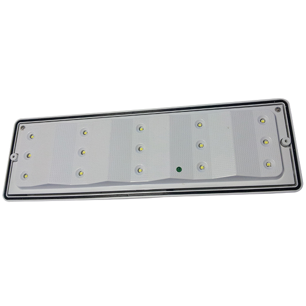 Outdoor Rechargeable LED Ceiling Emergency Light PC Diffuser IP65 EL015EN