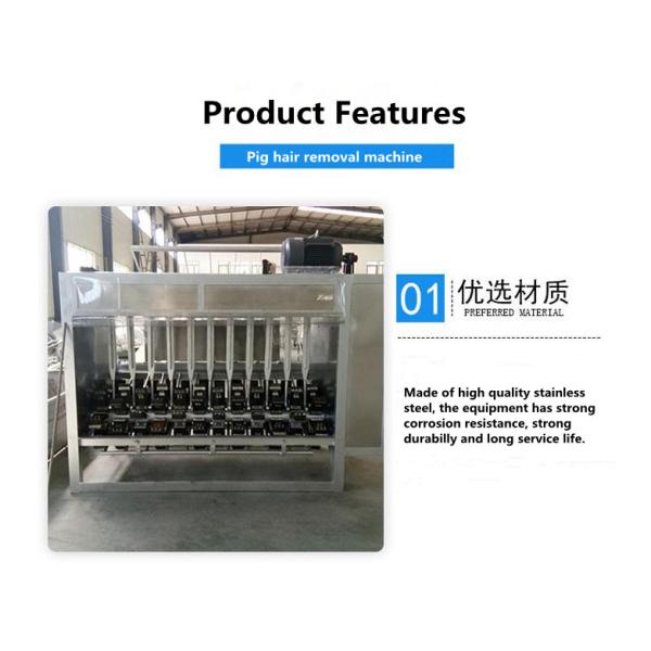 3kw Poultry Slaughterhouse Equipment