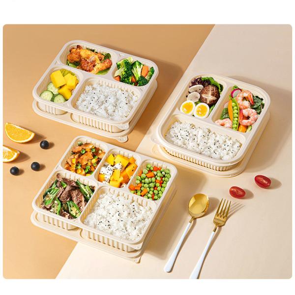 Compartment PLA Biodegradable Container OEM / ODM 1 / 2 / 3 For Inflight Meal Box