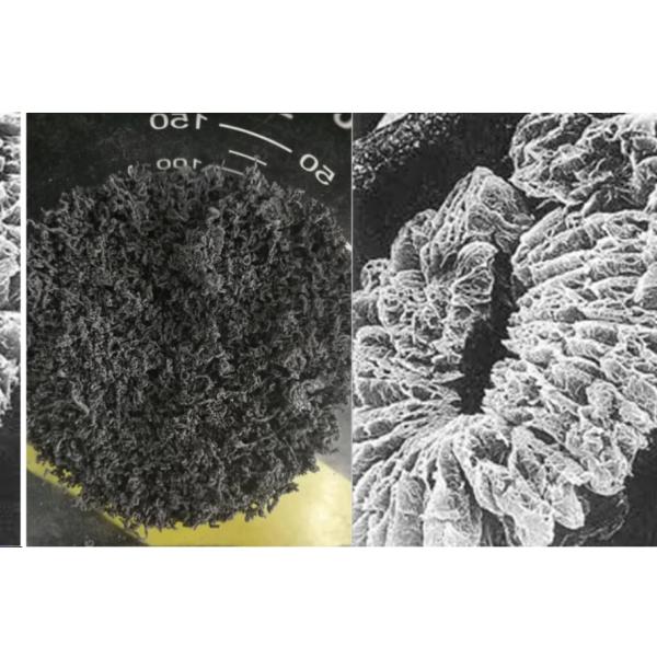 +100 Maille Graphite expansé à haute teneur en carbone