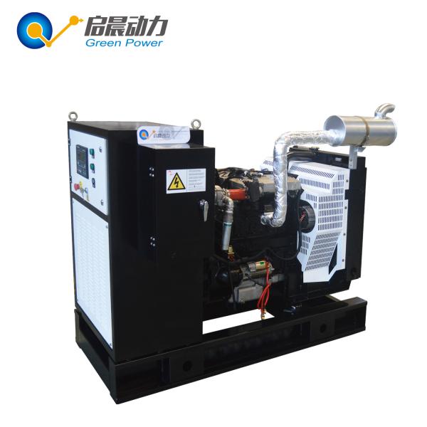 40kw Natural Gas Generator LPG Generator Biogas Generator