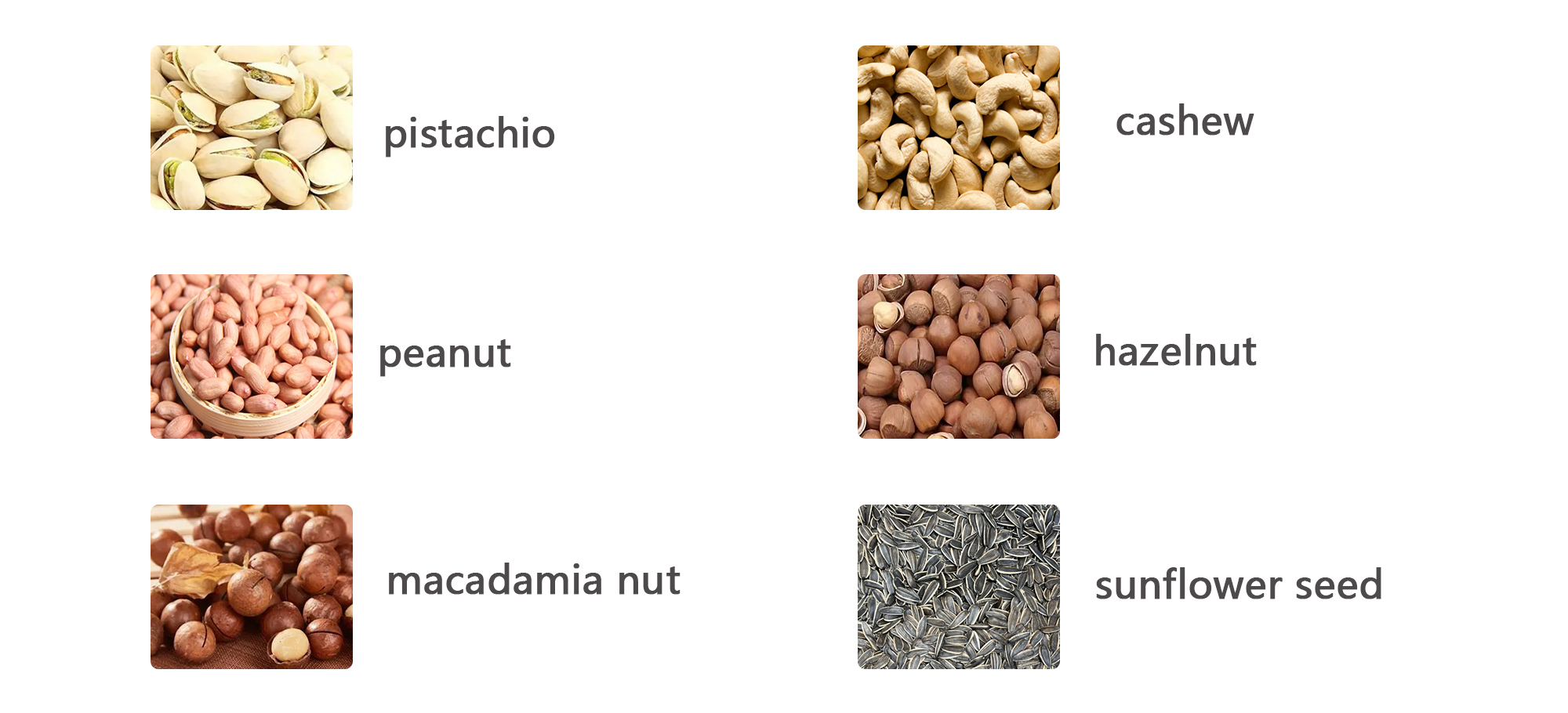 High Efficiency Continuous Stir Roasting Line 304 Steel Nuts Roasting Machine