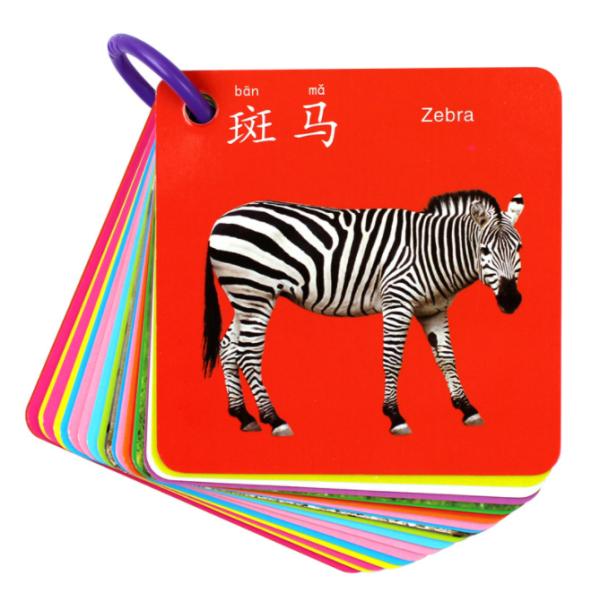 Square Shape Rigid Cardboard Kids Education Flash Cards 2mm Thick