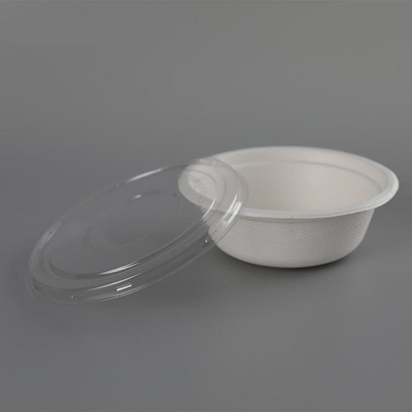 Disposable Biodegradable Sugarcane Eco Friendly Take Away Food Container Bagasse Food Bowls