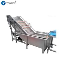 Machine de nettoyage des aliments mécanisée efficace Traitement des légumes et des fruits