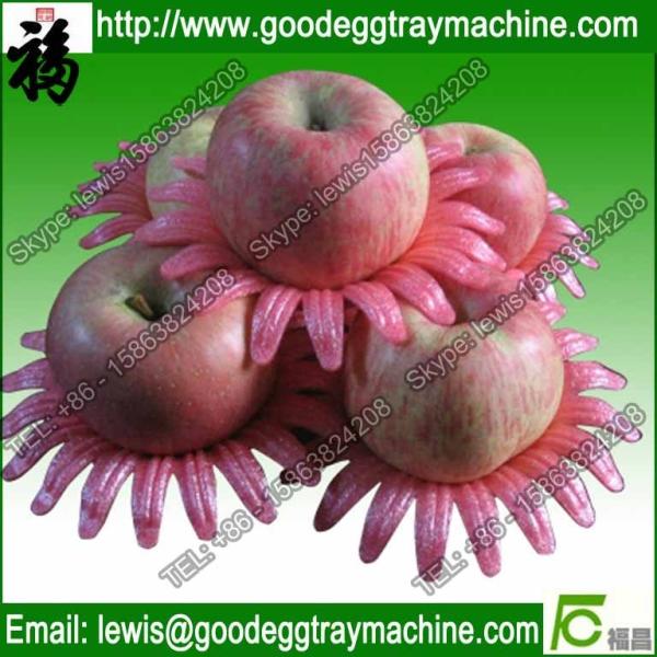 EPE Plastic Packaging Fruit Tray