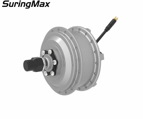 250 Watt Electric Bike Front Wheel Motor For City Drive Electric Bicycle