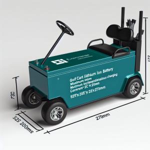 51.2V 230Ah ゴルフカート LiFePO4 バッテリー、6000サイクル以上