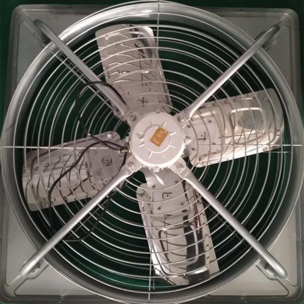 Cow Farm Equipment 380V 50HZ Cow Barn Fans IP55  with 430 Stainless Steel Blades