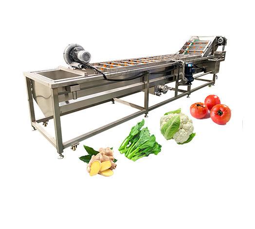 100-500 kg/h Ozon Lavadora de frutas e vegetais para limpeza de cenouras e mandioca