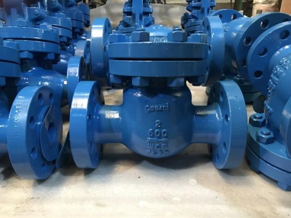 Food Industry Swing Type NRV Check Valve
