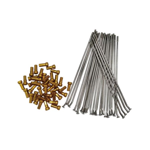 Stainless Steel Spokes and Gold Alloy Nipples for Motorcycle Repair/Replacement