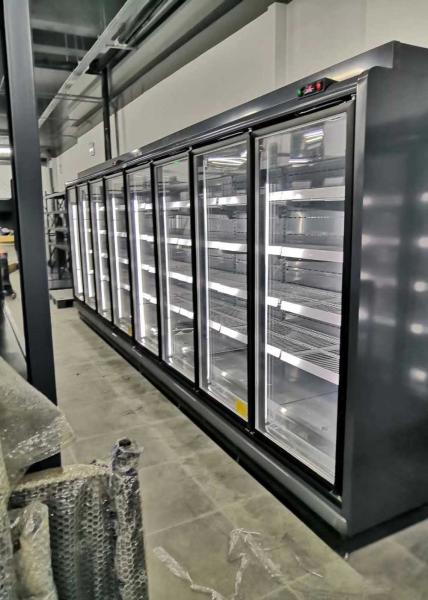 Carel Thermostat Commercial Upright Freezer para o alimento congelado