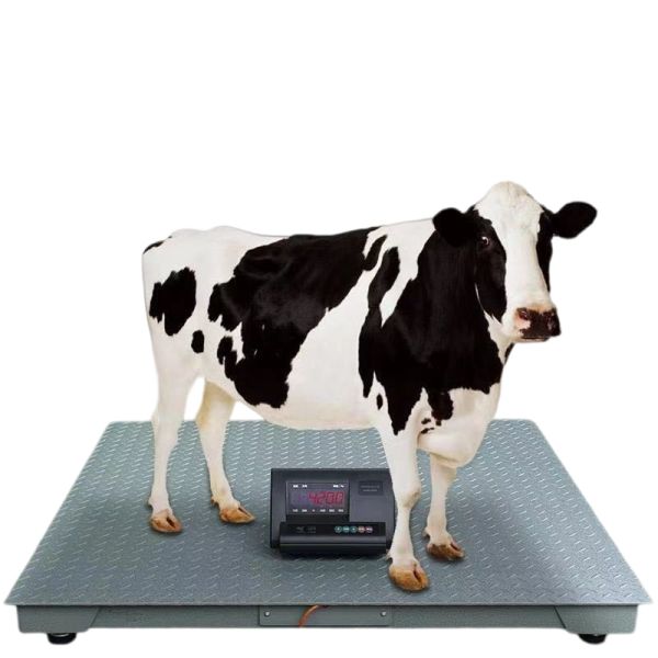 Livestock Floor Scale