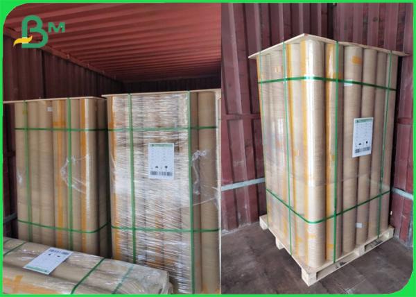 24 polegadas papel de plotador largo bond opaco de um formato de 36 polegadas para a fábrica do vestuário