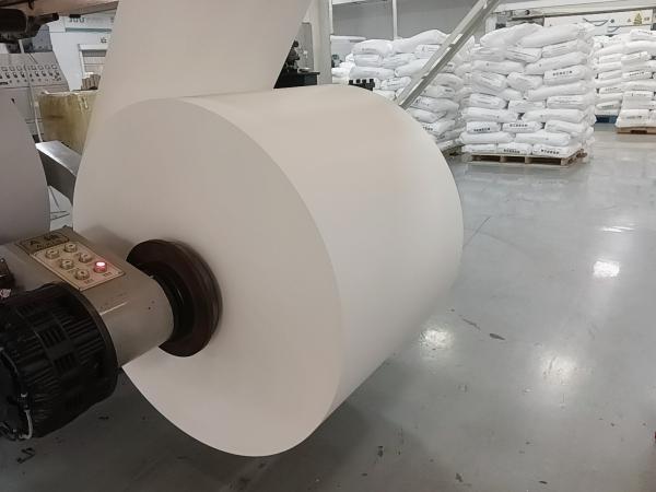 Papel para copos de papel virgem, revestido com rolos de PE 150-320GSM