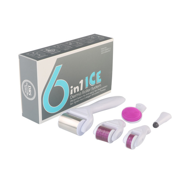 6 in 1 Derma Roller Kit with Ice Roller Skin Cooling Derma Care Facial Beauty NO Plugs Type