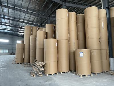 Environmentally Friendly Coated Wood Free Paper For Offset Printing Of Text Books And Magazines.