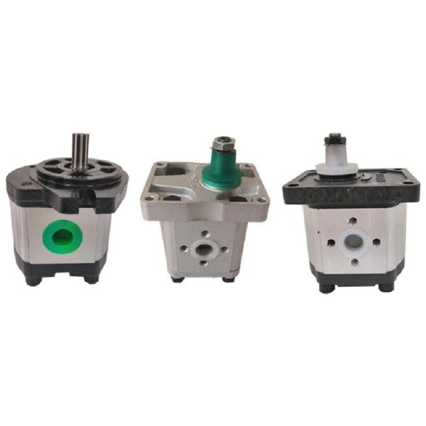 Насос с зубчатой передачей ДЖК20К12С186 гидронасоса используемый для Фиат МФ КБТ КБТ-20