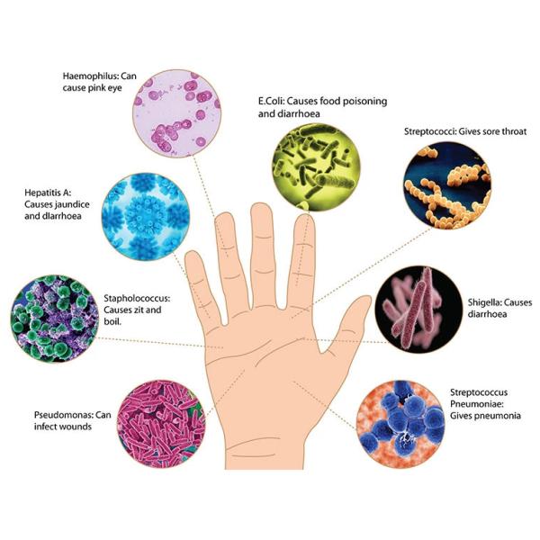 75% Alcohol Waterless Hand Sanitizer 99% Disinfectant Rate Hand Wash Durable