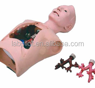 Patients Care Training Medical Bronchoscopy and Intubation Simulator with Alarms