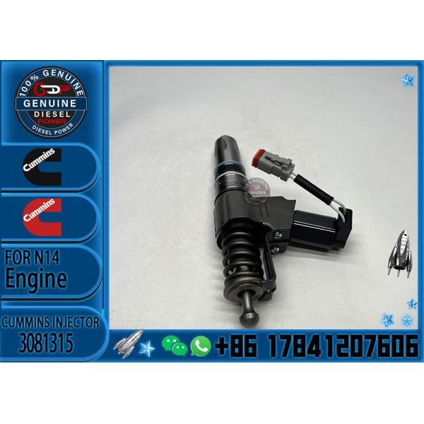 QSN14 N14 NT855 N855 engine CELECT fuel injector 3080931 3411381 3411767 3081315 3411767 f With Good Quality