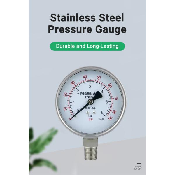 Matte Stainless Steel Pressure Gauge M20*1.5 Thread 250mpa for Hydraulic Applications