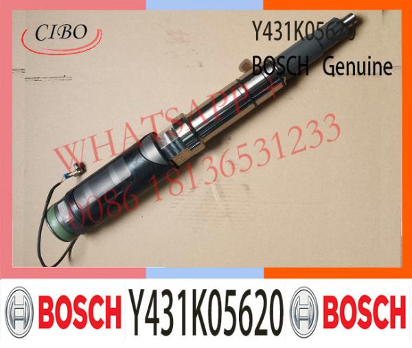 Injetor de combustível Y431K05620 do motor diesel de BOSCH Y431K05620 DS-289708 Y 431 K05 620