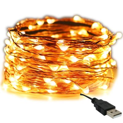 500LM Remote Control 5V USB Fairy String Lights Waterproof With Battery Case