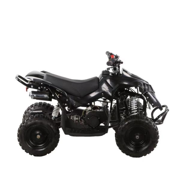 Mini ATV 49cc Quad Bike for Kids and Adults Fuel Gas/Diesel Unequipped Differential Lock