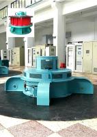 Vitesse nominale Générateur de turbine hydraulique Kaplan en acier inoxydable pour la production d'énergie durable