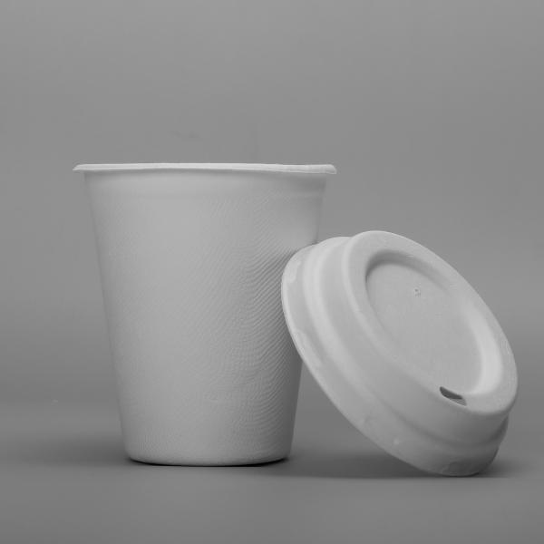 Багасса отлила чашки и крышки в форму пульпы течебезопасные 8oz 250ml Biodegradable