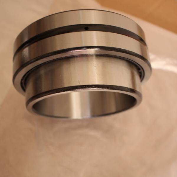 Solid Collar NA 495 Flat Needle Crossed Single Row Roller Bearing with inner ring