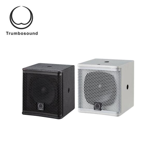 100W RMS Full Range Speaker