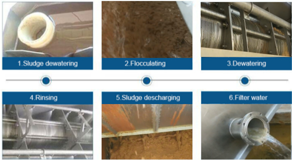 DS Capacity 5-640kgs/h/set Volute Type Dewatering Screw Press for Sewage Sludge Treatment