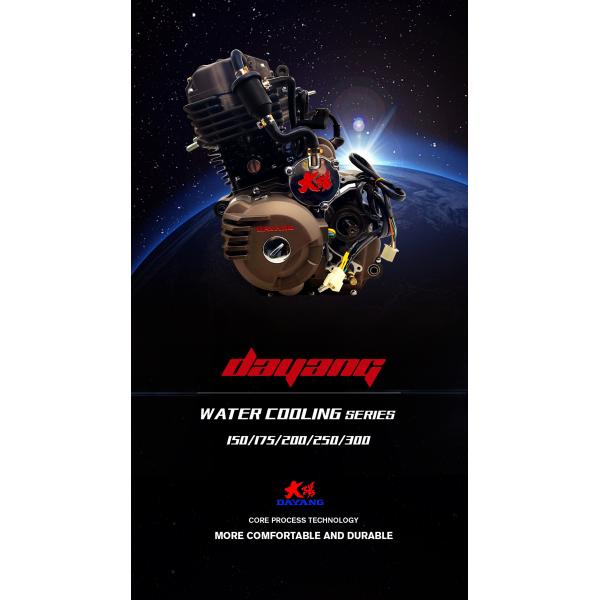Fit ATV UTV Tricycle Motorcycle Engine Assembly for DAYANG LF 300cc Water Cooled