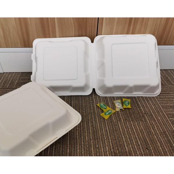 9 Inch Heavy Duty Biodegradable Takeout Containers