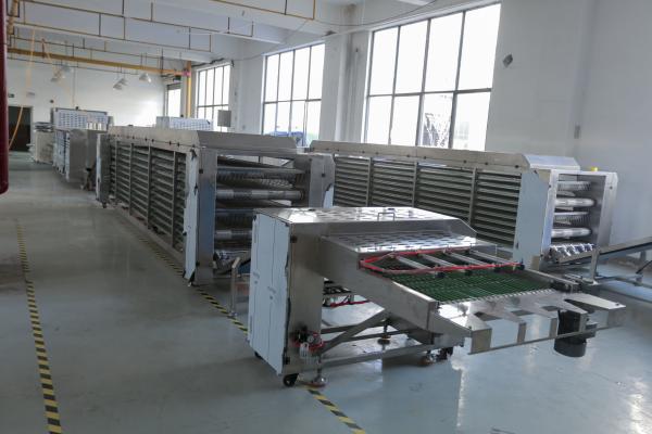 Automatic Electric 304 Stainless Steel Complete Tortilla Making Machine