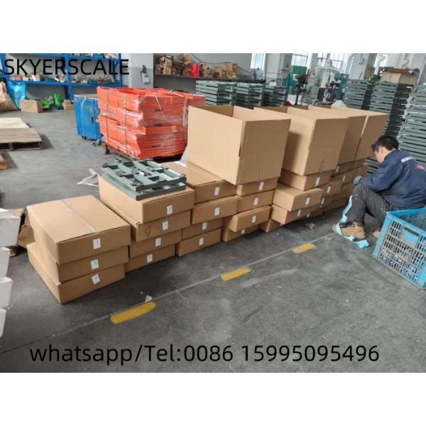 30kg Stainless Steel Electronic Bench Scale Waterproof  Platform Weighing Scale