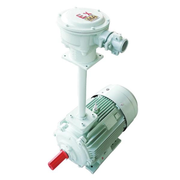 YBF3 series flameproof 3-phase induction motor for fan YBF3-80M1-2 YBF3-80M2-2 YBX-90S-2 YBX-90L-2 YBX-90L-2 YBF3-100L-2 YBF3-112M-2 YBF3-132S1-2 YBF3-132S2-2 YBF3-160M1-2 YBF3-160M2-2