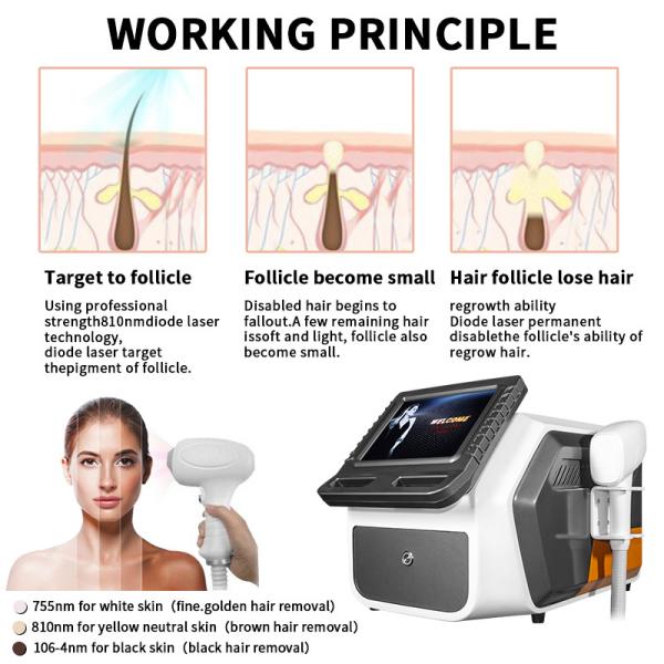 Painless Q Switched Nd Yag Laser Machine 3 Wavelength Diode Laser Hair Removal 10.4 Inch