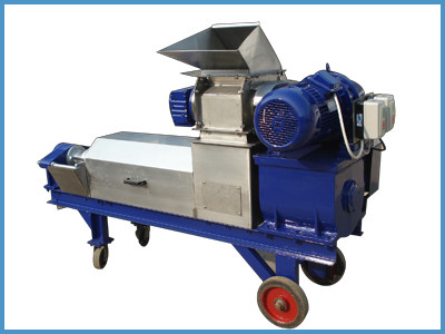 Double screw extractor for ginger juice