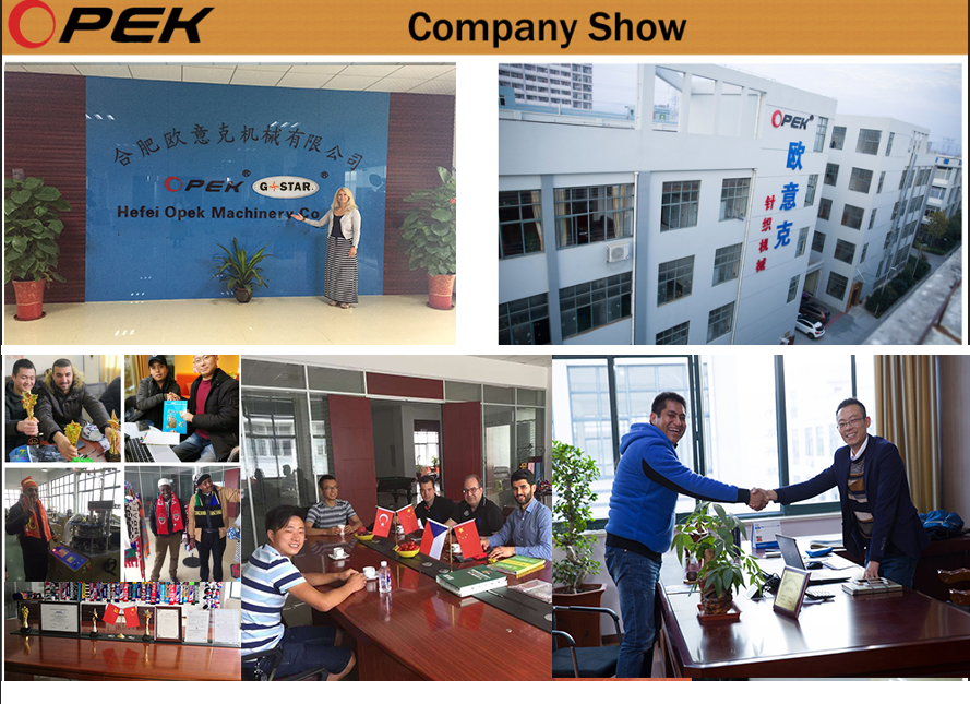 Computerized Flat Knitting Machine for Sweater/Hat Opek Jersey Jacquard Popular Style