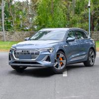 2021 Hot sales The 2021 50 quattro luxury model pure battery life 500
